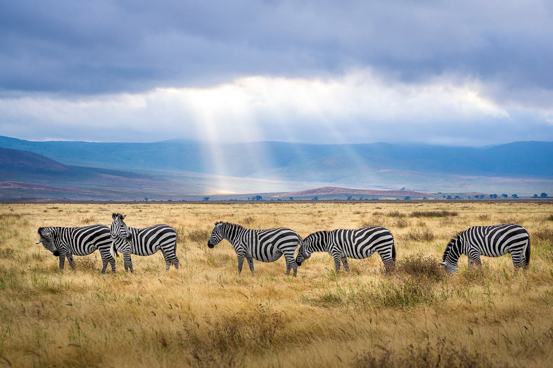 Is Tanzania Safe? Why you should start now planning your holiday to Tanzania